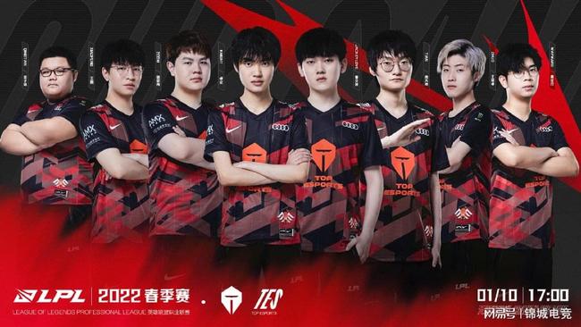 重视三角草 重视三角草